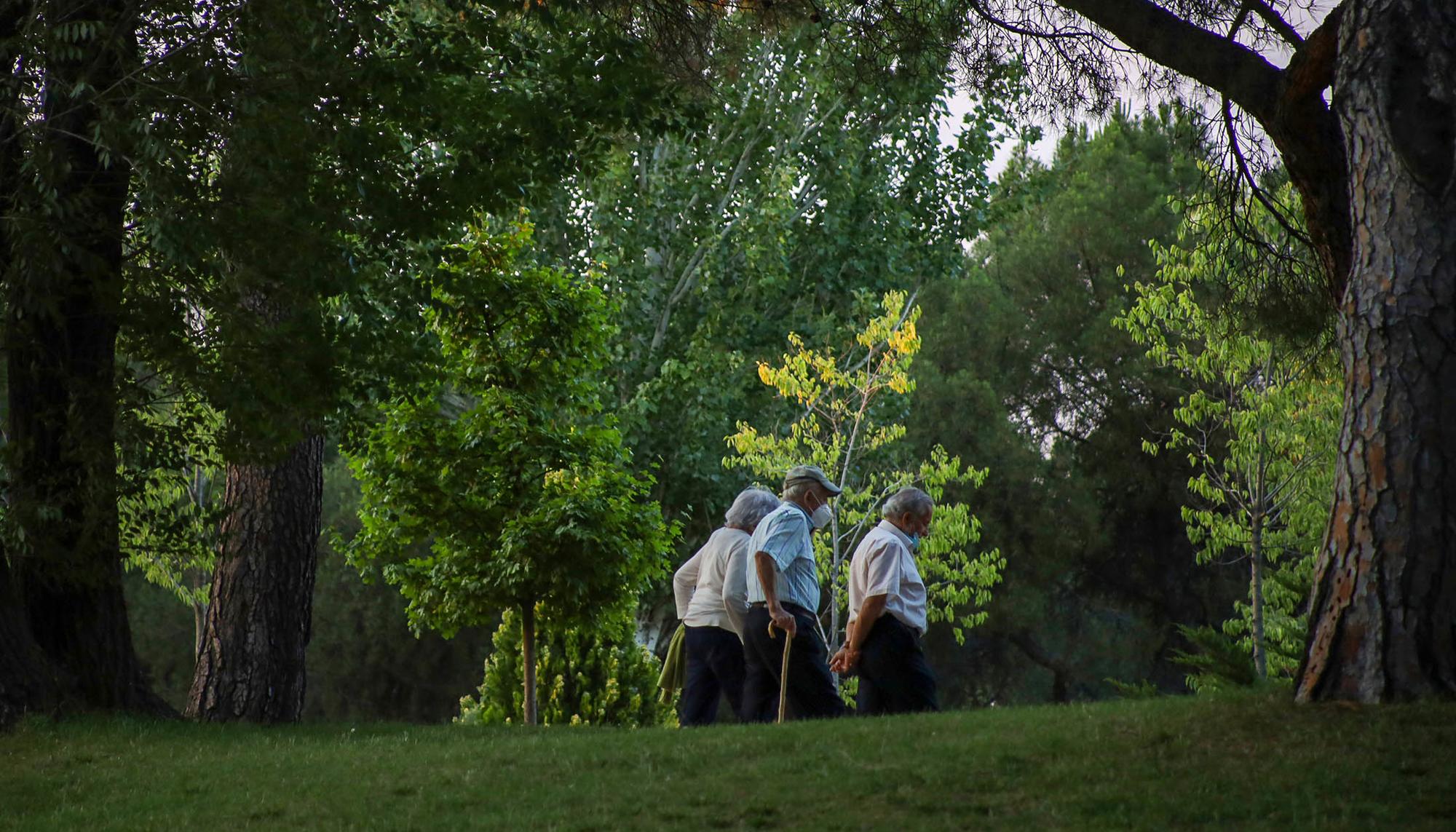 Dehesa de la Villa vejez